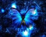 Обложка произведения Morpho peleides