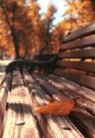 Обложка произведения Грустное русское ( шансон в прозе)