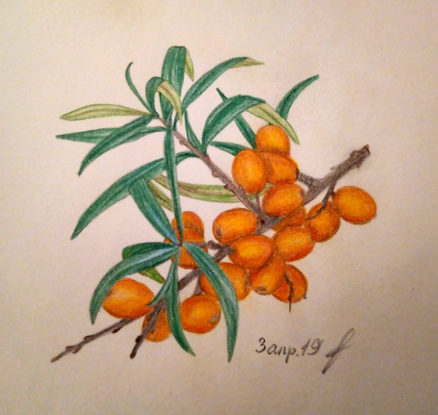 Иллюстрация