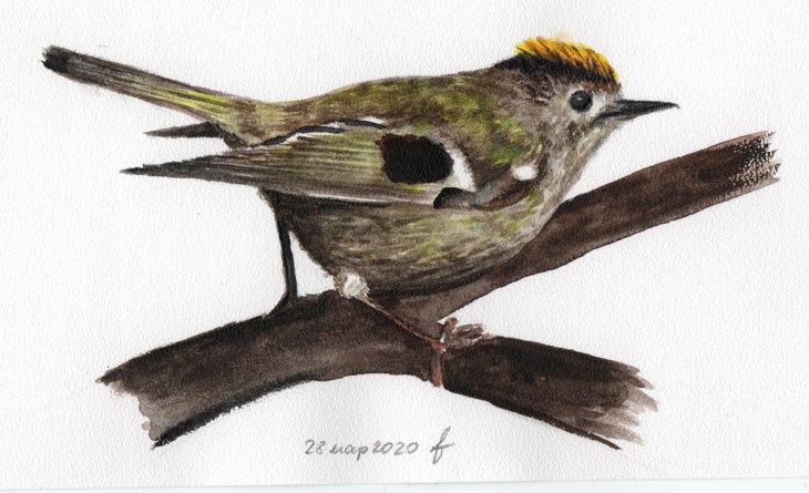 Иллюстрация