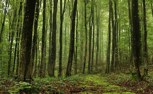 Обложка произведения Искра Хаоса