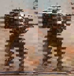 мех второго тира «Костер»