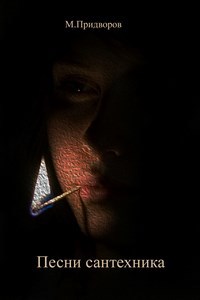Обложка произведения Песни сантехника