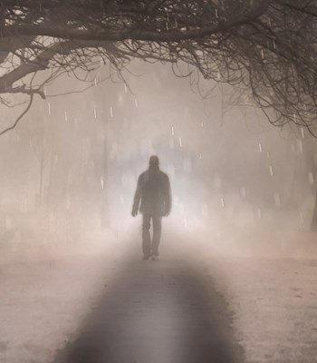 Обложка произведения Когда гаснет свет