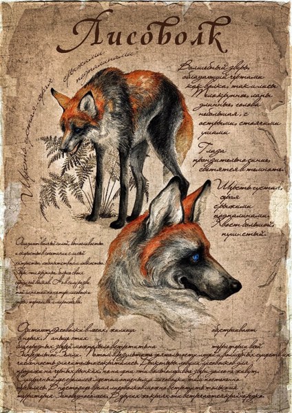 Иллюстрация