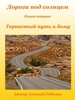 Обложка произведения Дорога под солнцем. Книга вторая. Тернистый путь к дому.