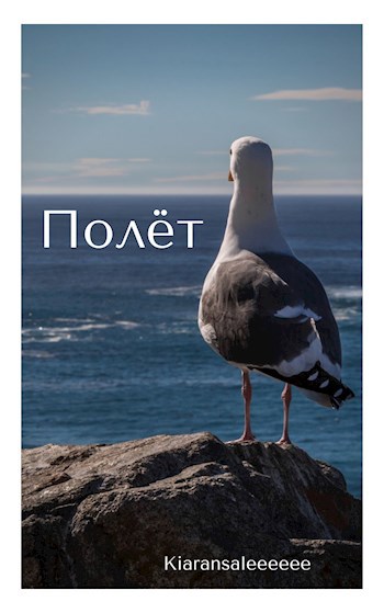 Обложка произведения Полёт