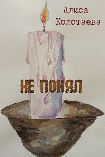 Обложка произведения Не понял