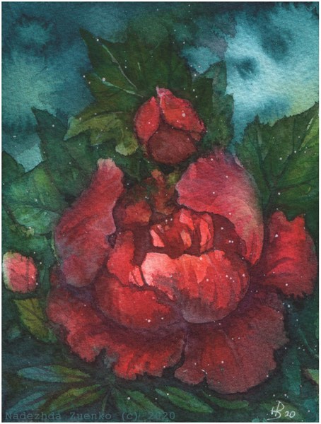 Иллюстрация