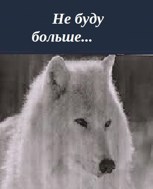 Обложка произведения Не буду больше