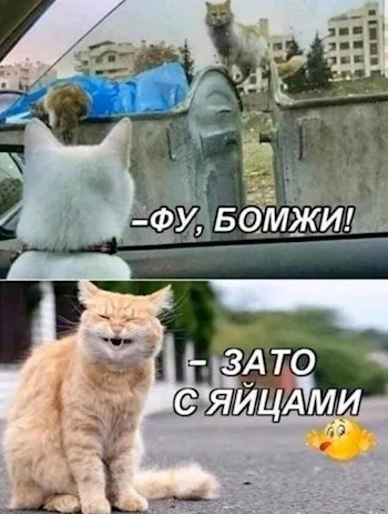 Обложка произведения Очень жалостивая история