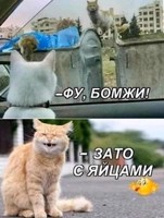 Обложка произведения Очень жалостивая история