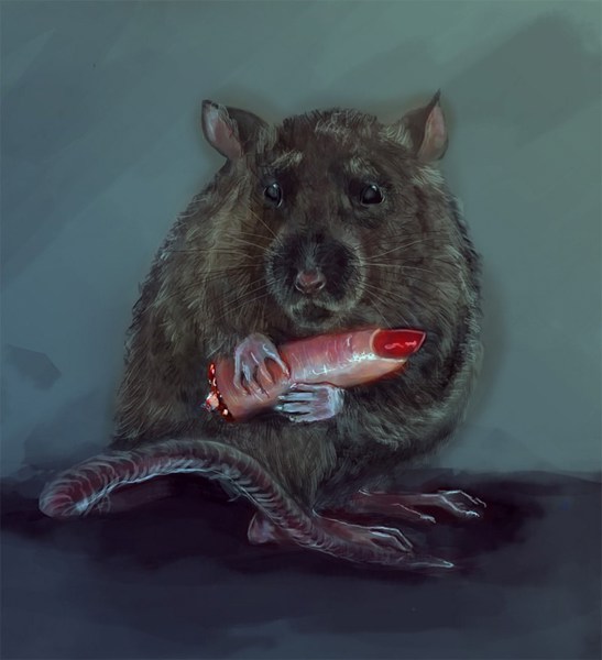 Иллюстрация