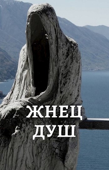 Обложка произведения ЖНЕЦ ДУШ