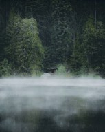 Обложка произведения Я вернусь на край света