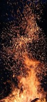 Обложка произведения Вальпургиева ночь