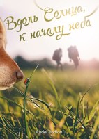 Обложка произведения Вдоль Солнца, к началу неба