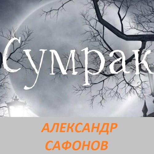 Сумрак читать. Мой мир Роман сумрак.