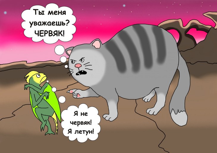 Иллюстрация