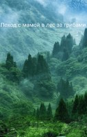 Обложка произведения Поход с мамой в лес за грибами