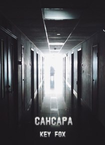 Обложка произведения Сансара