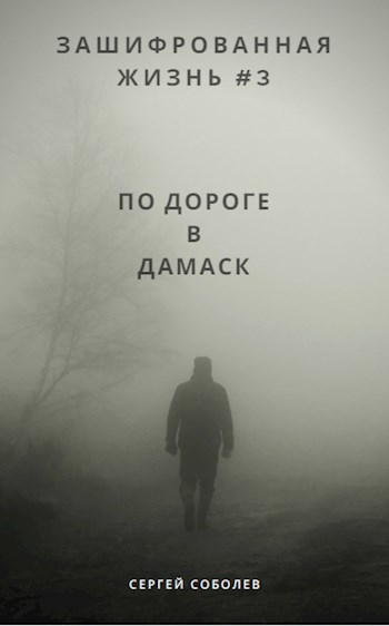 Обложка произведения По дороге в Дамаск (Сирийский патруль)