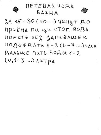 Обложка произведения pet-16 хроники заражения