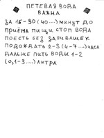 Обложка произведения pet-16 хроники заражения