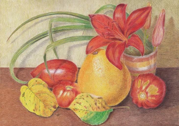 Иллюстрация