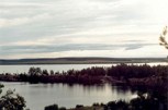 Обложка произведения Поющий жаворонок
