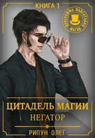 Обложка произведения Цитадель Магии: Негатор