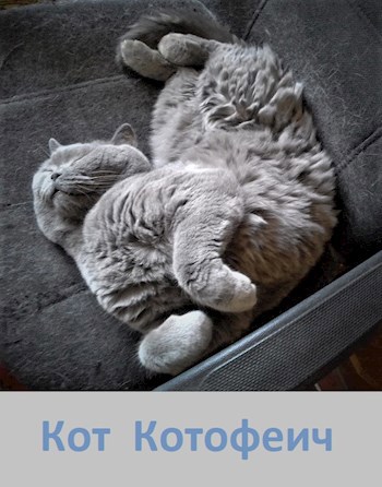 Обложка произведения Кот Котофеич