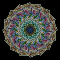 #24293