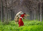 Обложка произведения Танцующая с волком