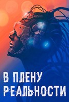 Обложка произведения В плену реальности