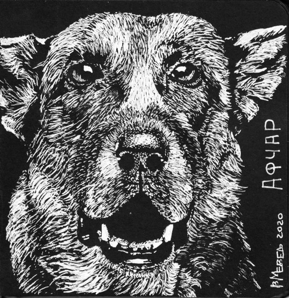 Иллюстрация