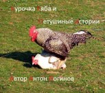 Обложка произведения Курочка Ряба и Петушиные истории.