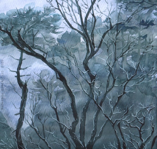 Иллюстрация