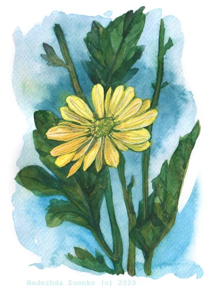 Иллюстрация