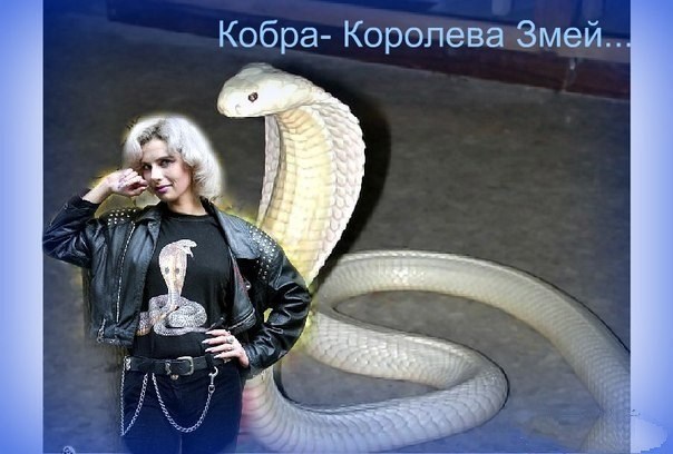 Песни красивая а внутри кобра. Марина Кобра Лоренсо. Голубая Королева Марина Лоренсо. Голубая Королева Кобра. Марина Кобра Лоренсо шизофрения.