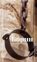 Обложка произведения Борин