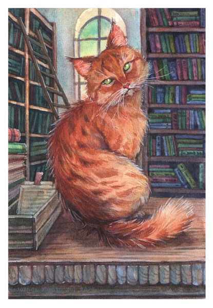 Иллюстрация