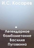 Обложка произведения Легендарное бомбометание Василия Пуговкина