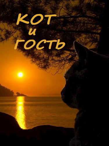 Обложка произведения Кот и гость
