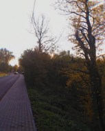 Обложка произведения Динамика