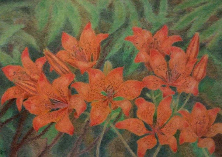 Иллюстрация