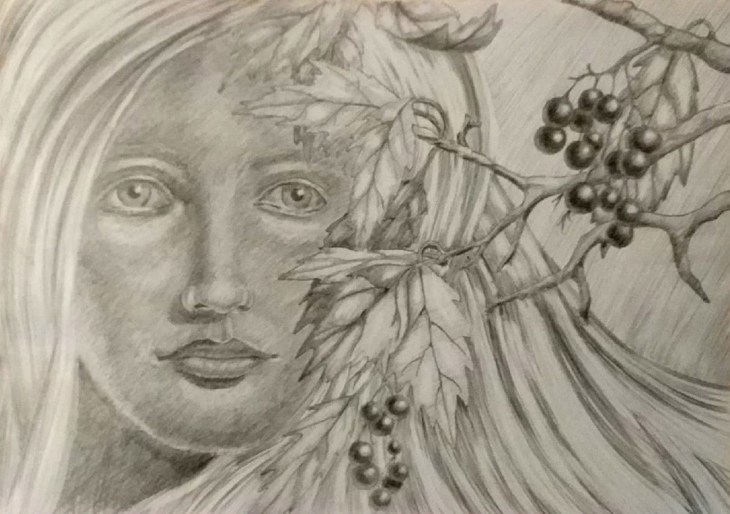 Иллюстрация