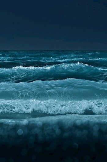 Обложка произведения Морская болезнь
