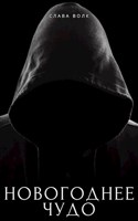 Обложка произведения Новогоднее чудо