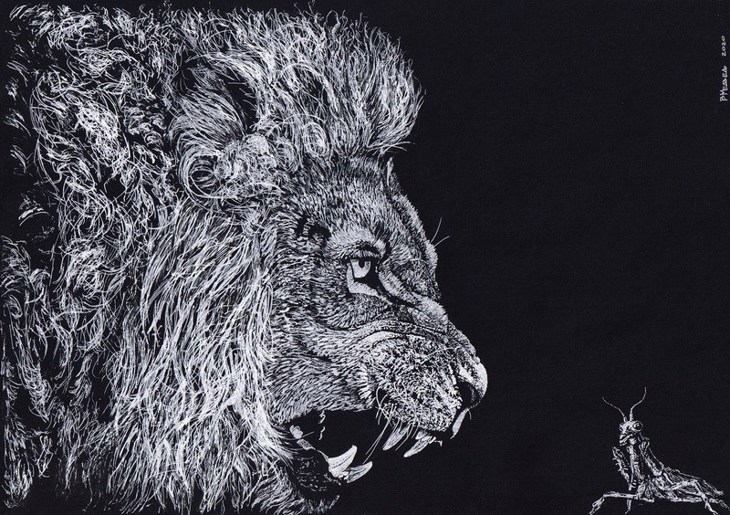 Иллюстрация